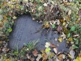image of grave number 433184